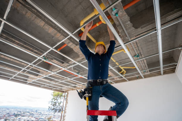 Best Leak Detection Services  in Macon, IL
